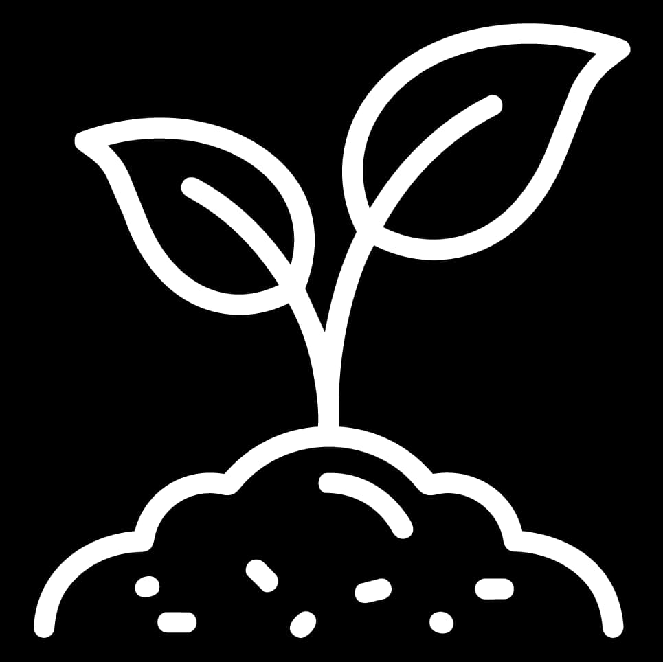 Plantation