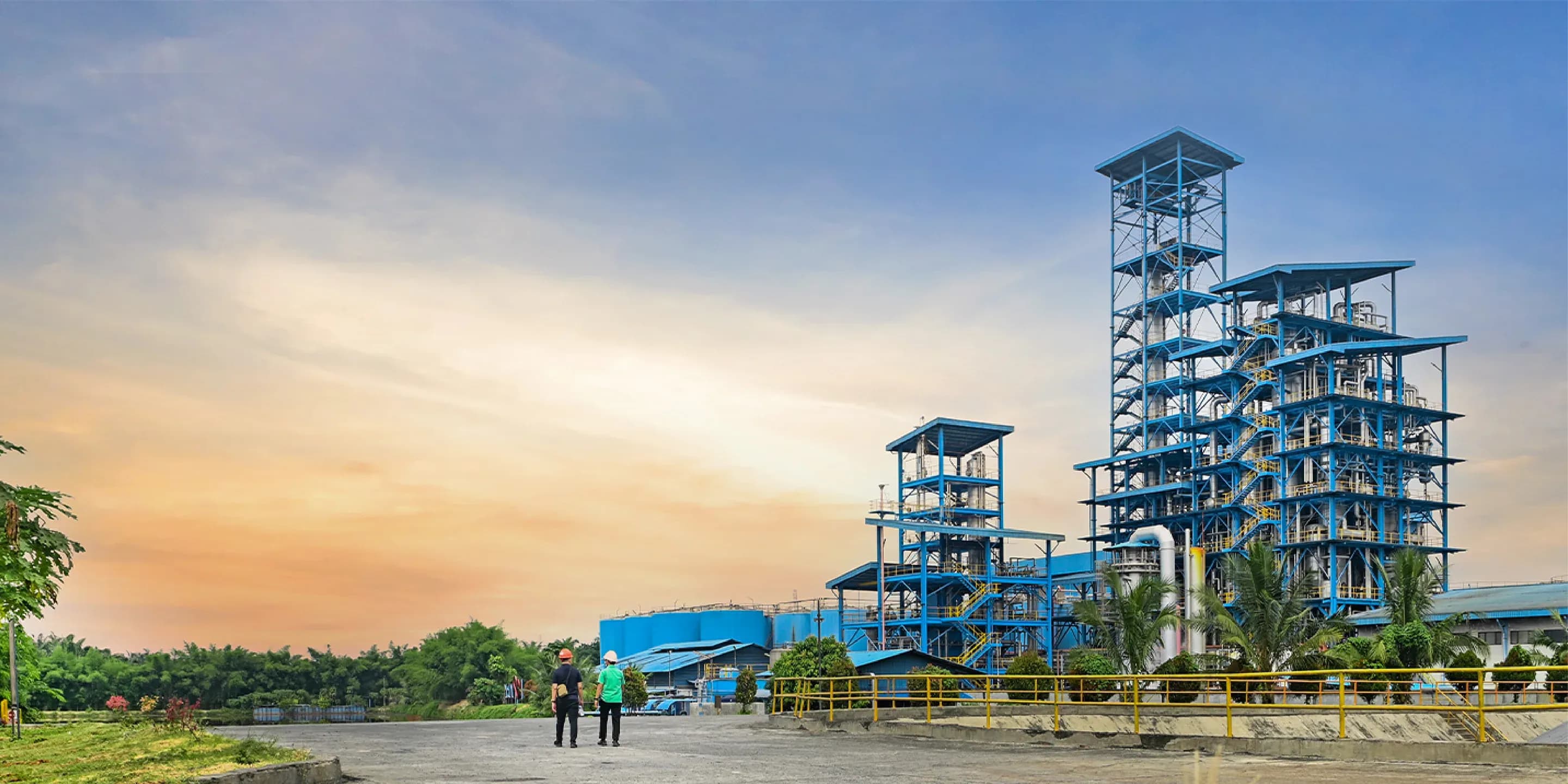 Aerial view of Permata Group palm oil plantation